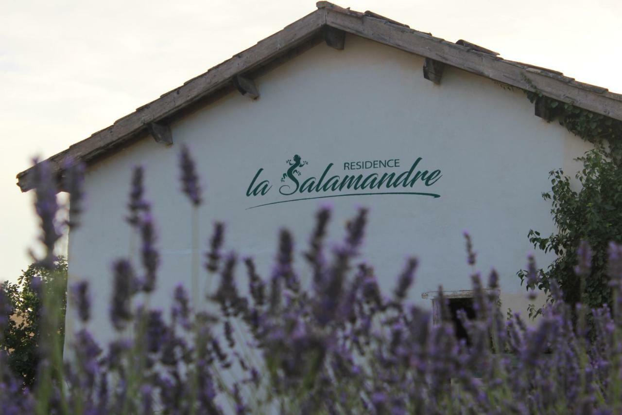 La Salamandre Bed and breakfast *