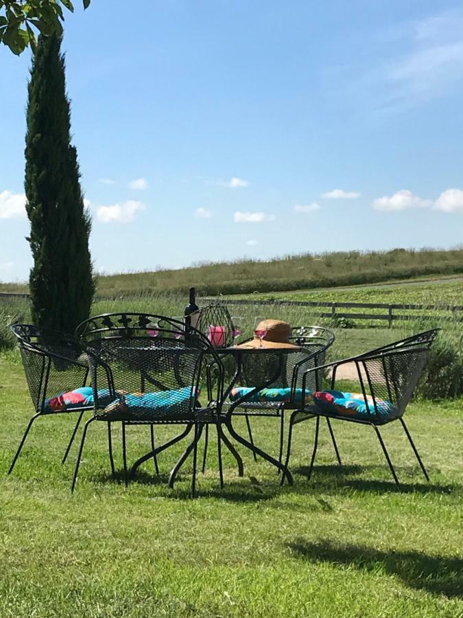 Bed & Breakfast La Salamandre Rabastens