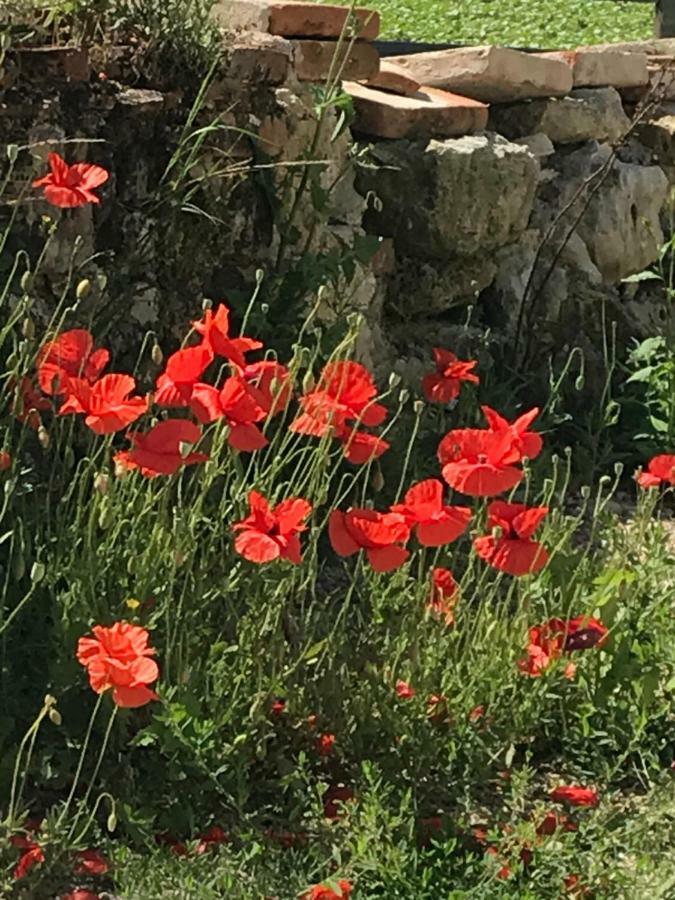 Bed and breakfast La Salamandre Rabastens