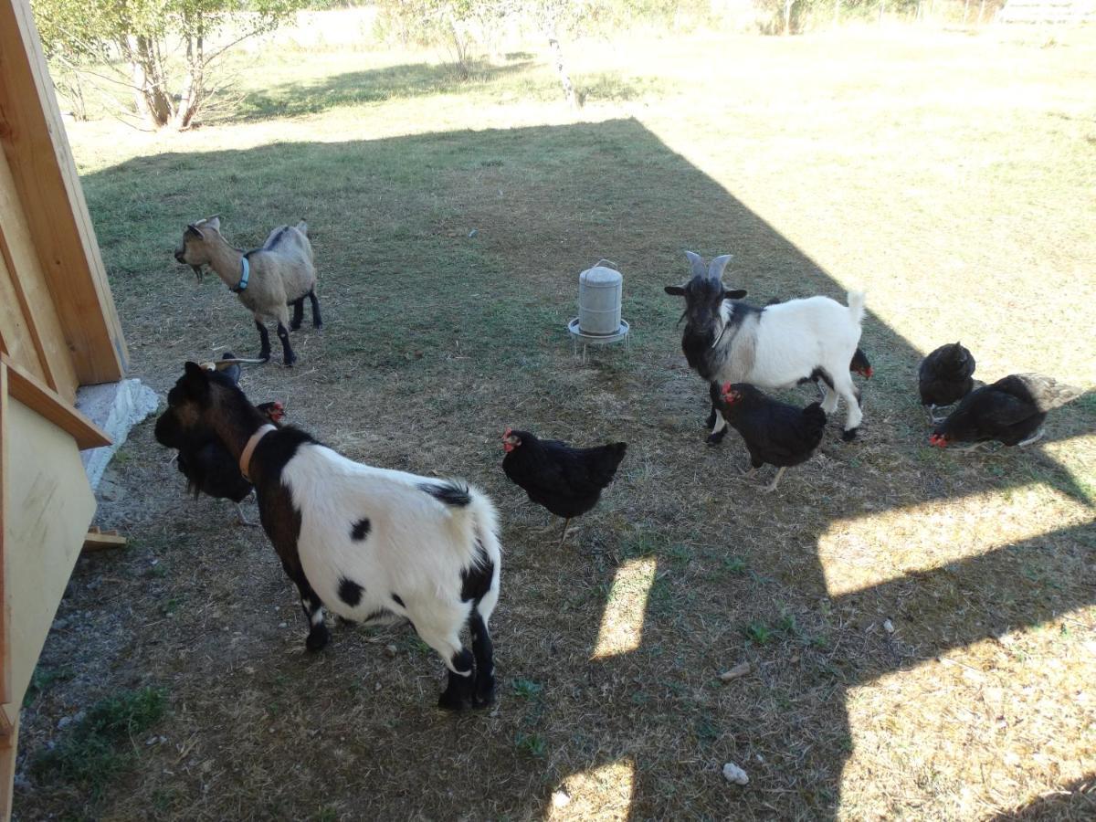 La Salamandre Bed & Breakfast